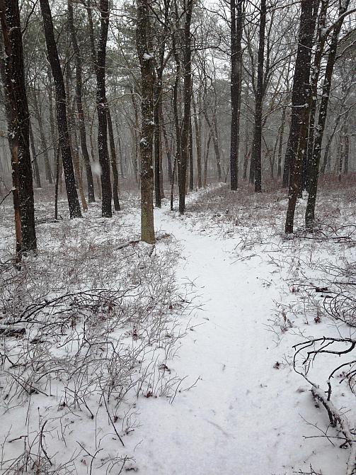 Along the Trail