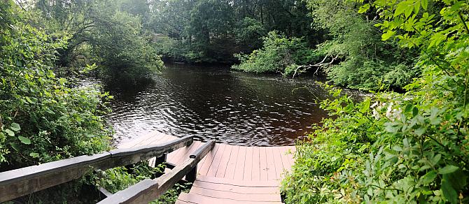 Forge River Launch