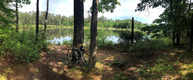 Pond west of Lakeside Trail 1