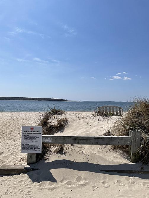 View on Bill's Peconic meander