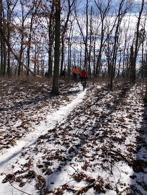 Down the Hill to the Red Trail in BSP