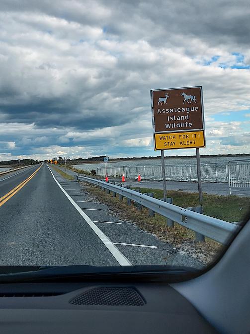 EntranceAssateague