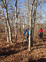 John & Lenny Thru the Oak Maze