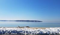 Cathy's Scenic Driftwood