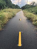 Bike Path in Wading River Headed East