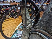 biketree